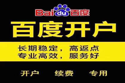 百度竞价包年推广案例解析：如何实现转化